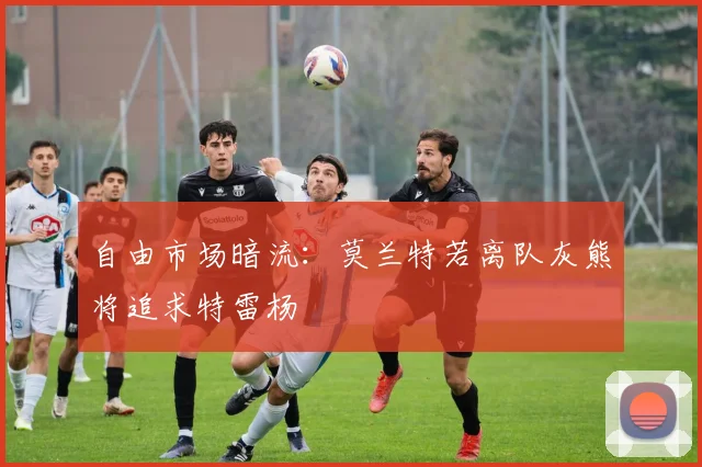 自由市场暗流：莫兰特若离队灰熊将追求特雷杨